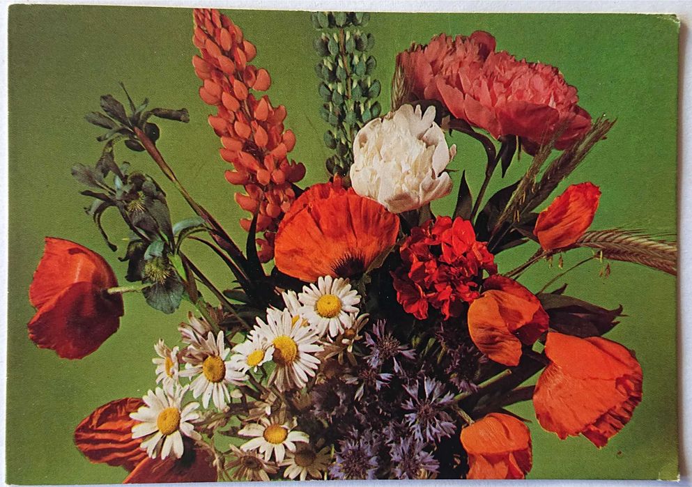 Kartka pocztowa - Bukiet - RUCH - czysta - 1978 r. - Nr 40