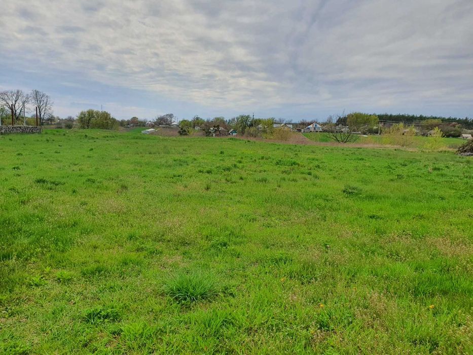 Продається будинок с. Софіївка Черкаського р-ну