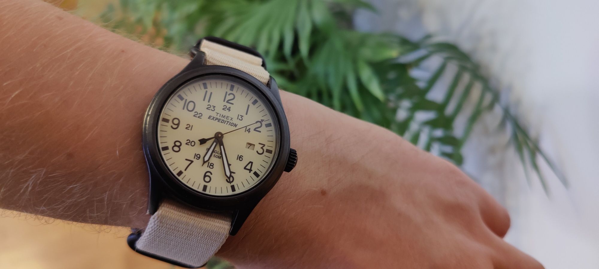 Zegarek Timex Expedition WR50