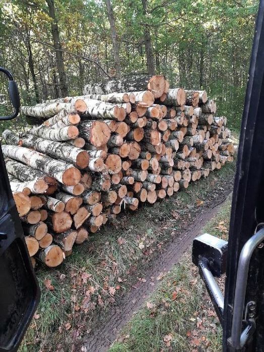 Drewno kominkowe opałowe