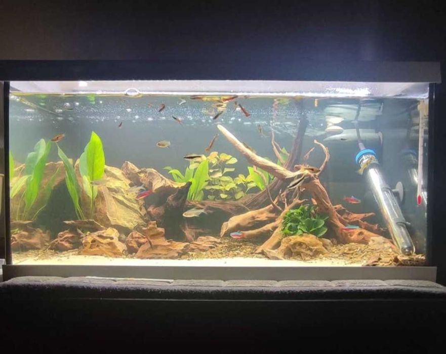 Aquário completo de água quente 50L