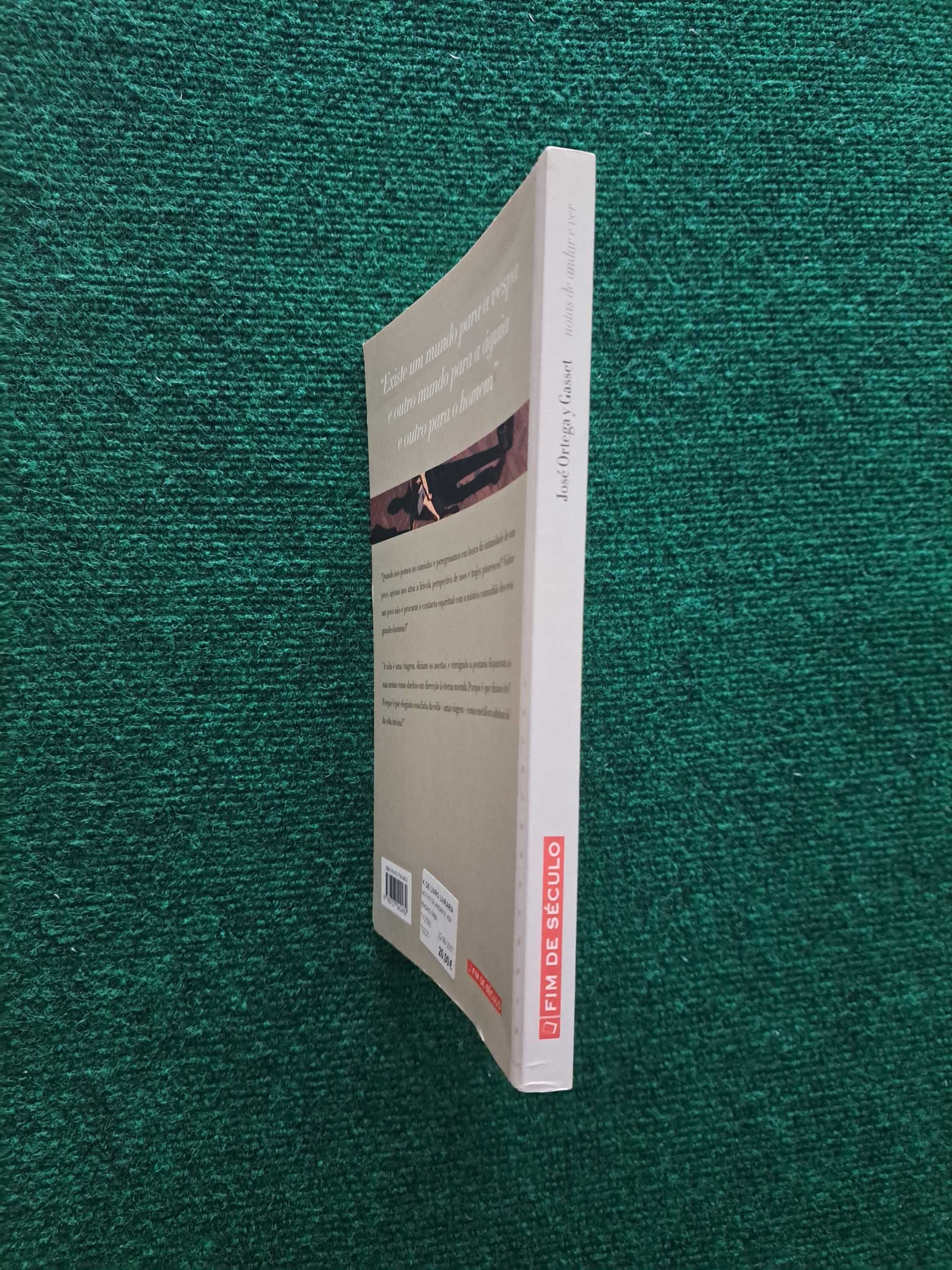 Notas de andar e ver - Ortega y Gasset