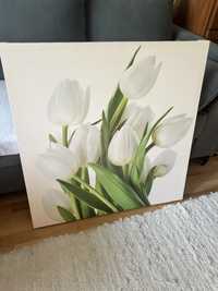 Obraz tulipany 80x80