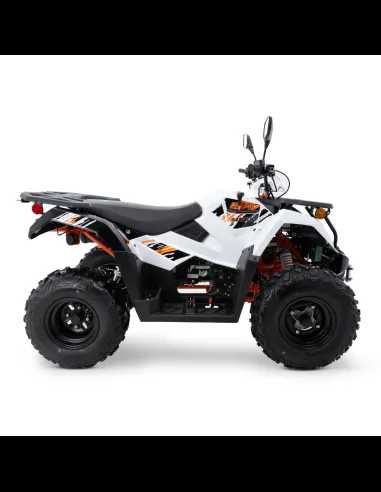 Quad Kayo AU300 T3b Raty/Leasing/Transport Cała Polska ATVMOTOSQUAD