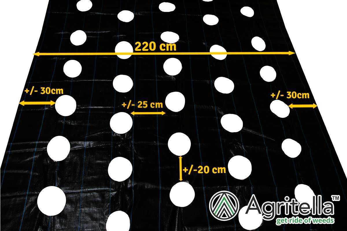 Agrotkanina OTWORY pod TRUSKAWKI przeciw chwastom  2,2x10m 5 rzędów