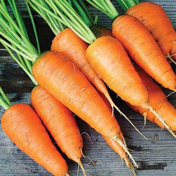 Продам домашні овочі.