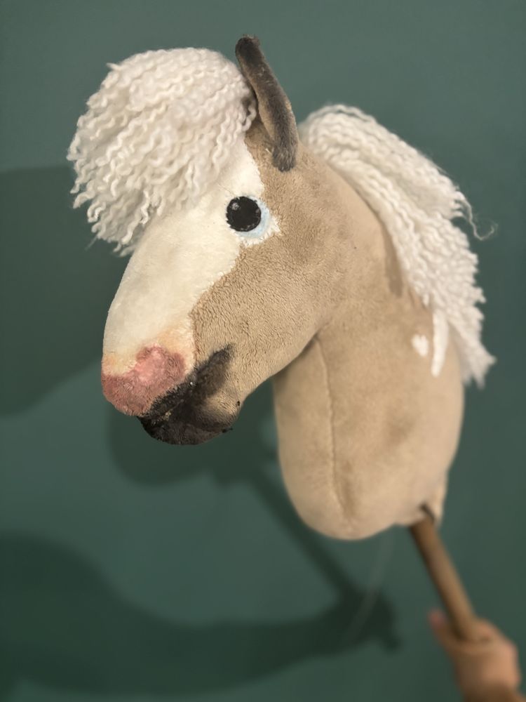 Hobby horse z odmianami