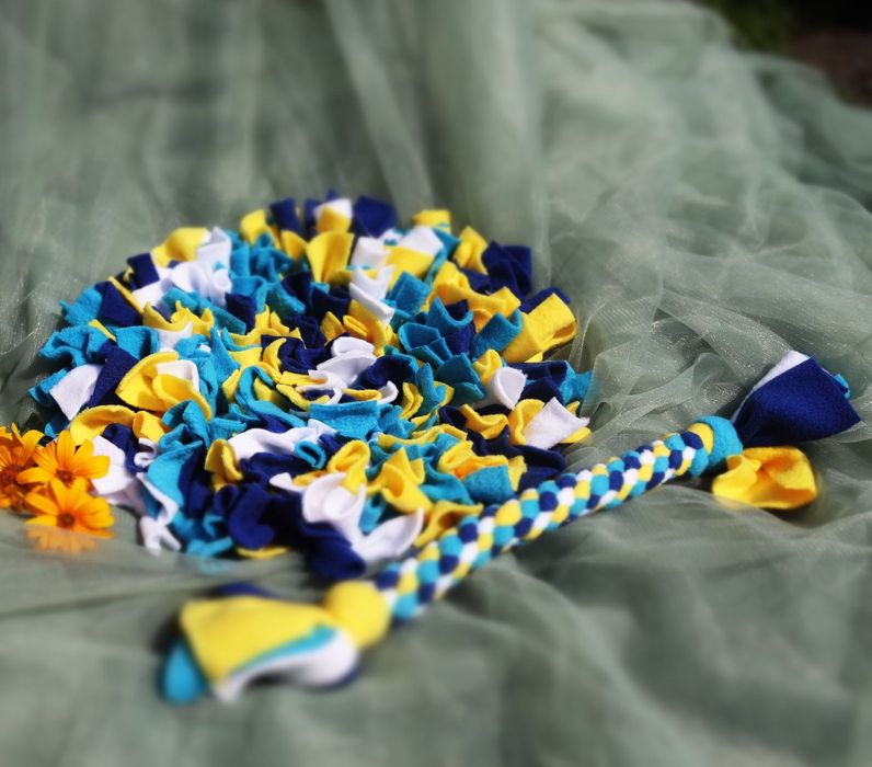 ZwierzoBox - mata węchowa i szarpak dla psa