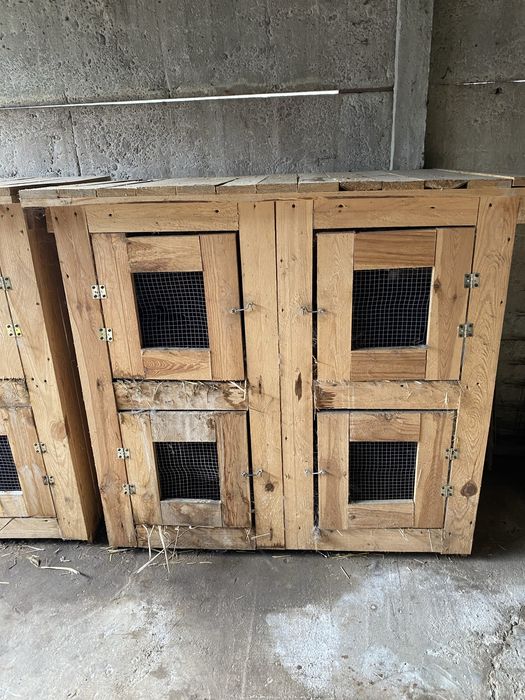 Klatki dla królików