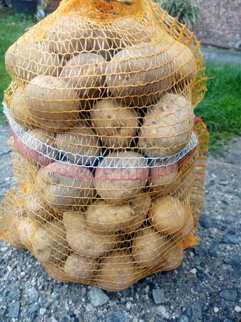 Ziemniaki Denar Jurek