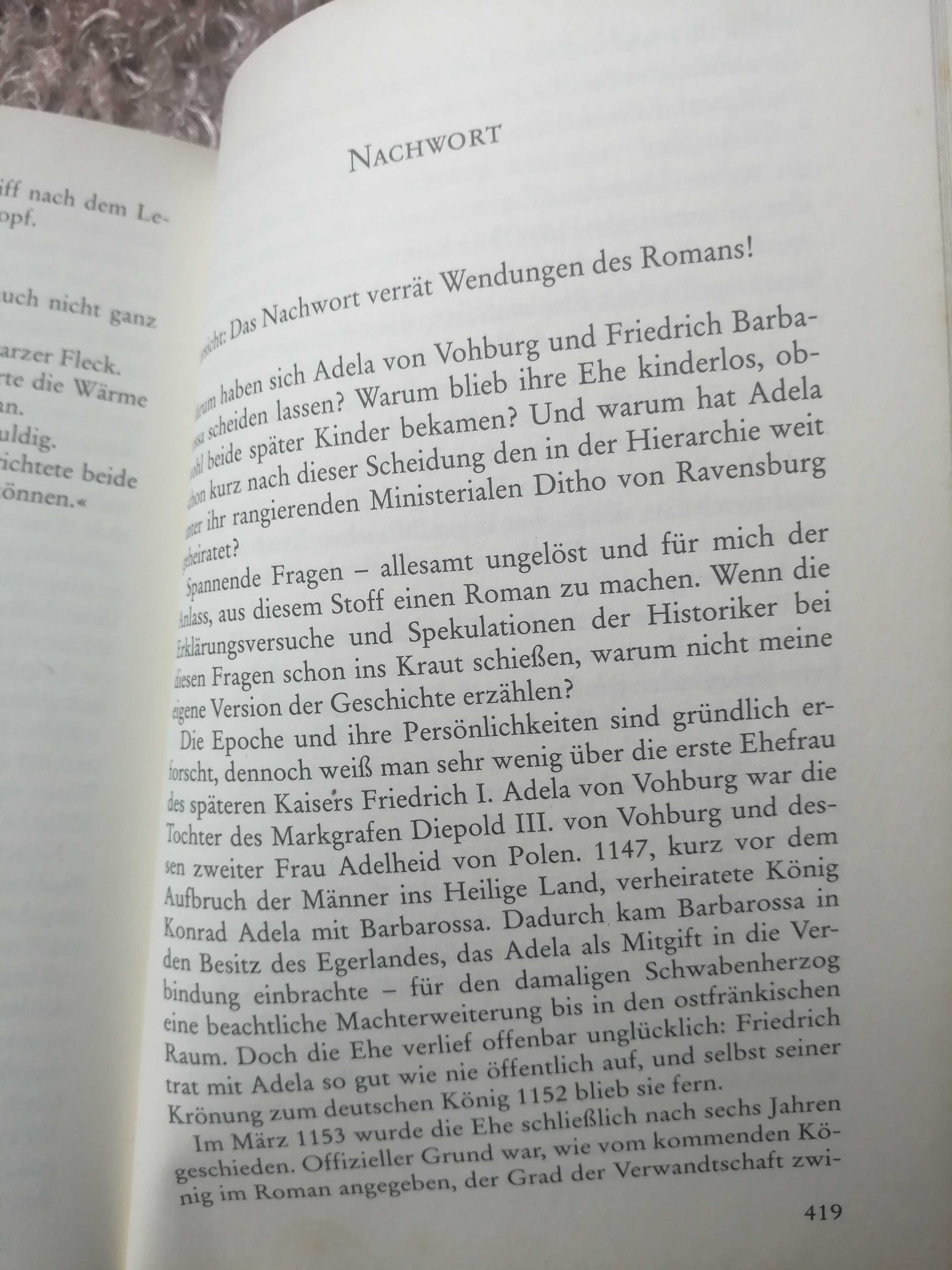 Історичний роман на німецькій мові Simon Rost "Wie ein Falke im Sturm"