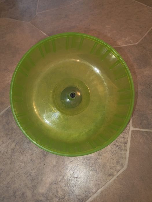 akcesoria dla chomika