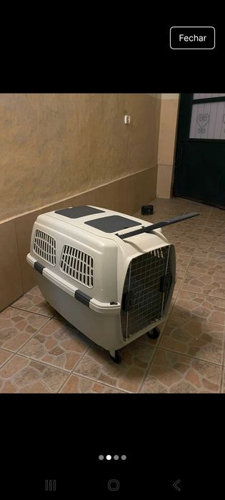 Caixa para transportar cães, com rodas removíveis