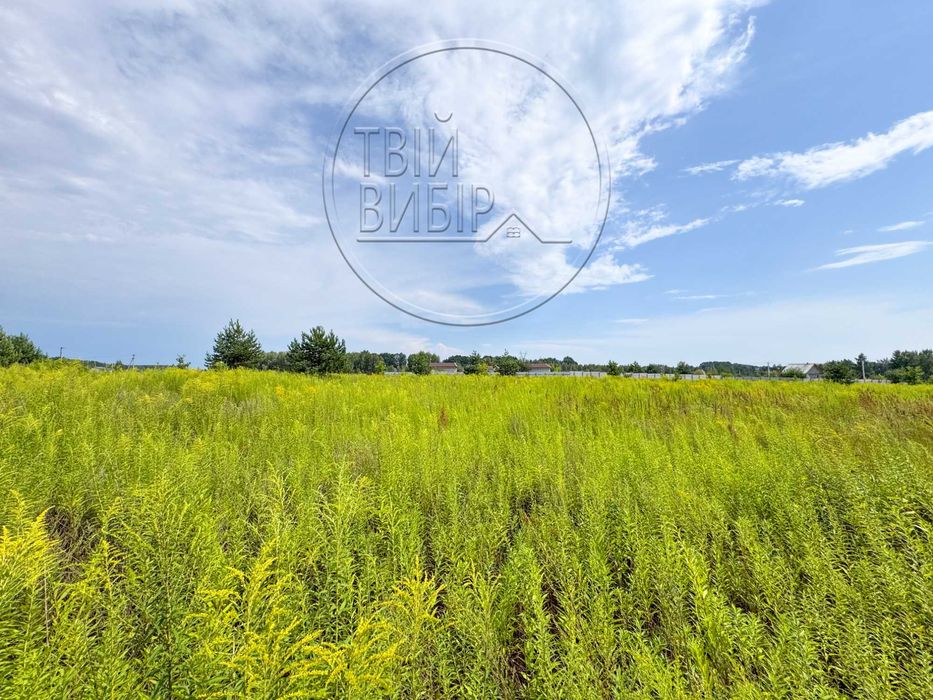 Продаж Ділянки Петрушки 10 соток