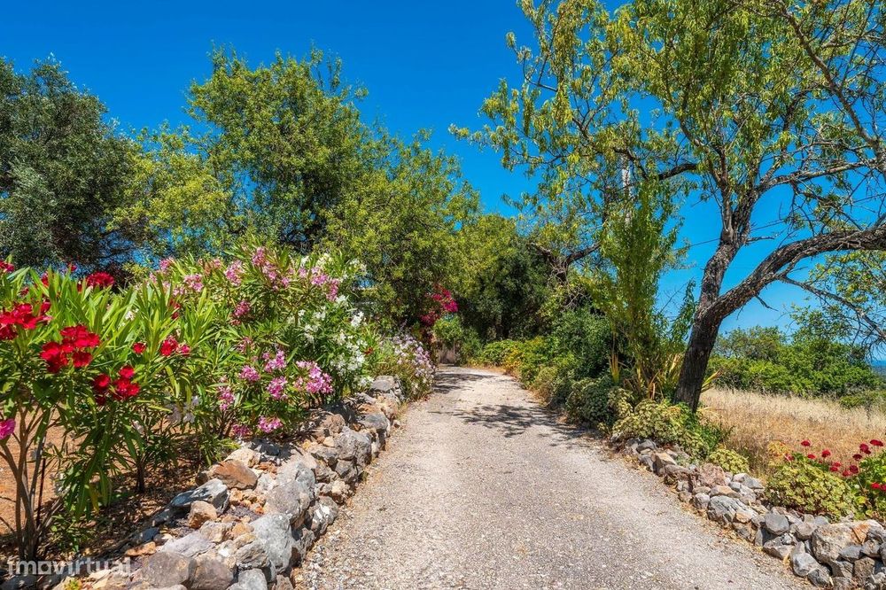 Ruína com Terreno de 2.100m2, Vista Mar e Potencial de Reabilitação –