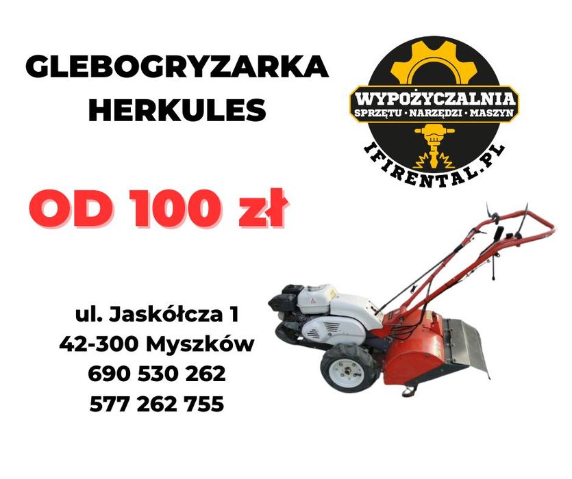 Wynajem glebogryzarka Herkules Honda wypożyczalnia