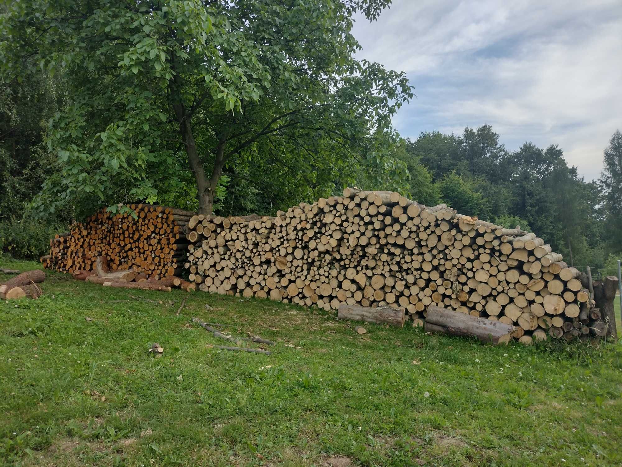sprzedam drewno opałowe