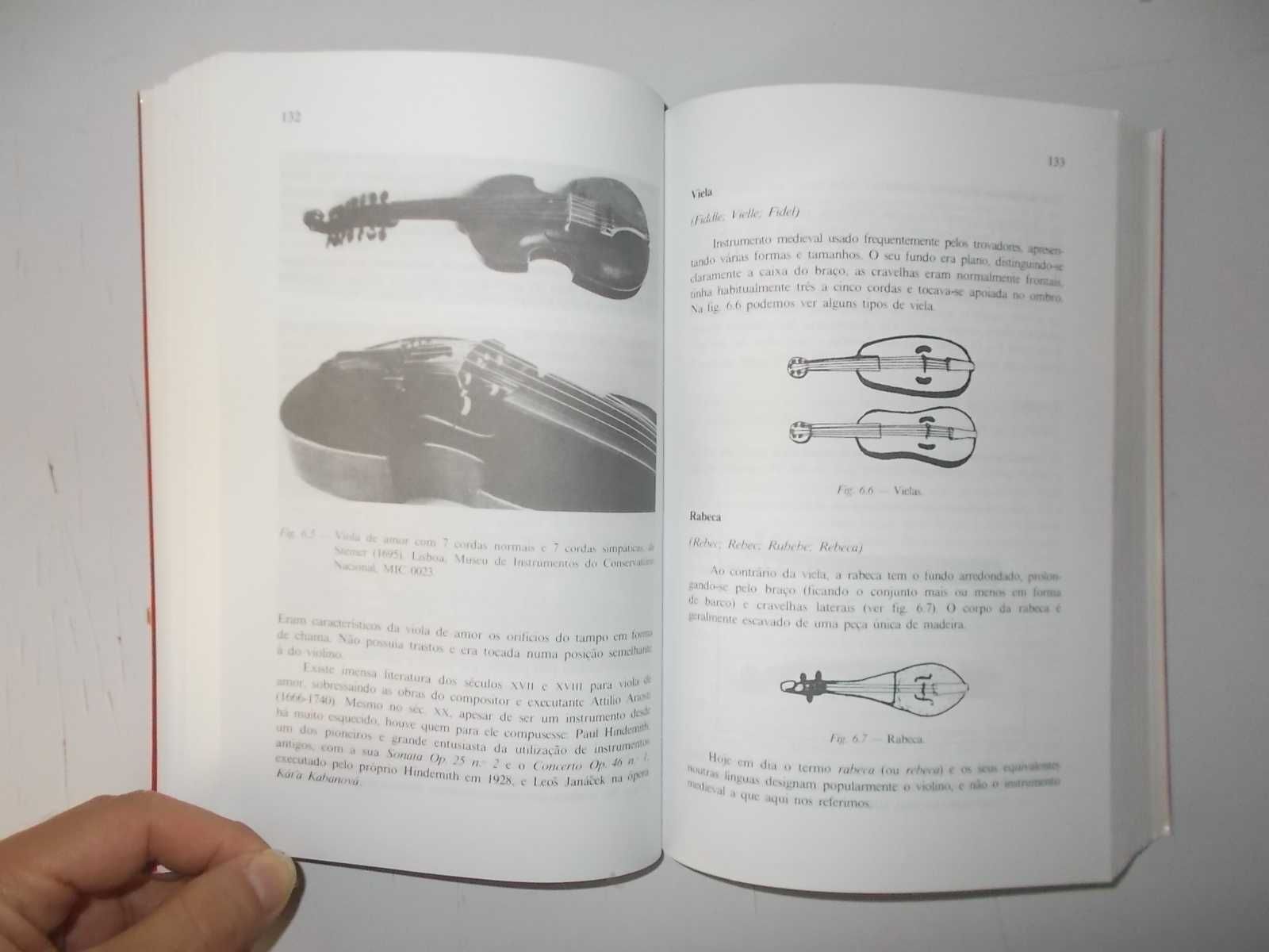 Livro Instrumentos Musicais