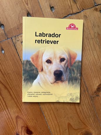 Labrador retriever książka poradnik