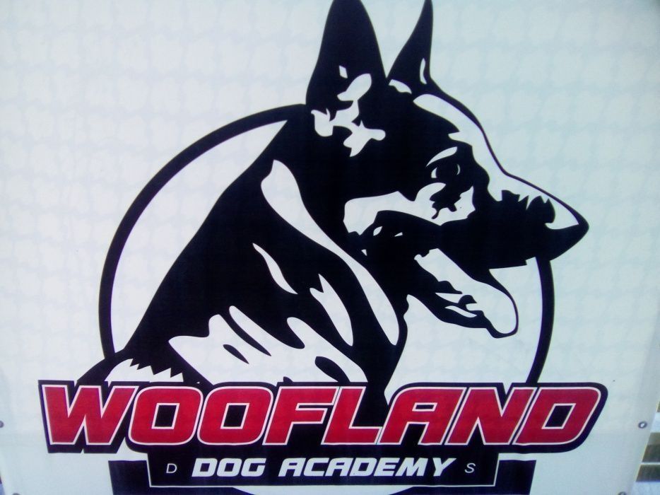 Дресирування собак. повний комплекс послуг. Дрессировка собак.