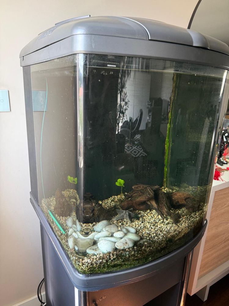 Aquario com armario