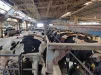 05.04 (piątek) Nowa dostawa krów mlecznych z Niemiec