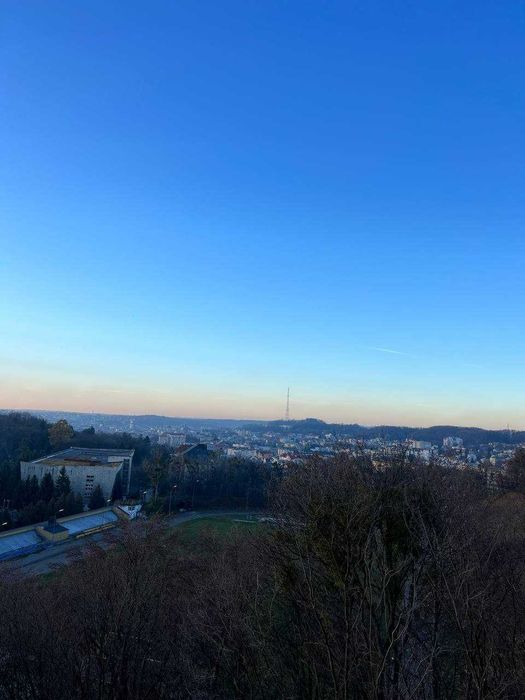 Продаж комерційного окремостоячого приміщення по вул. Пасічна