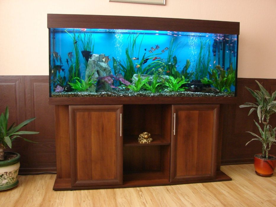 Аквариумы под заказ Киев
