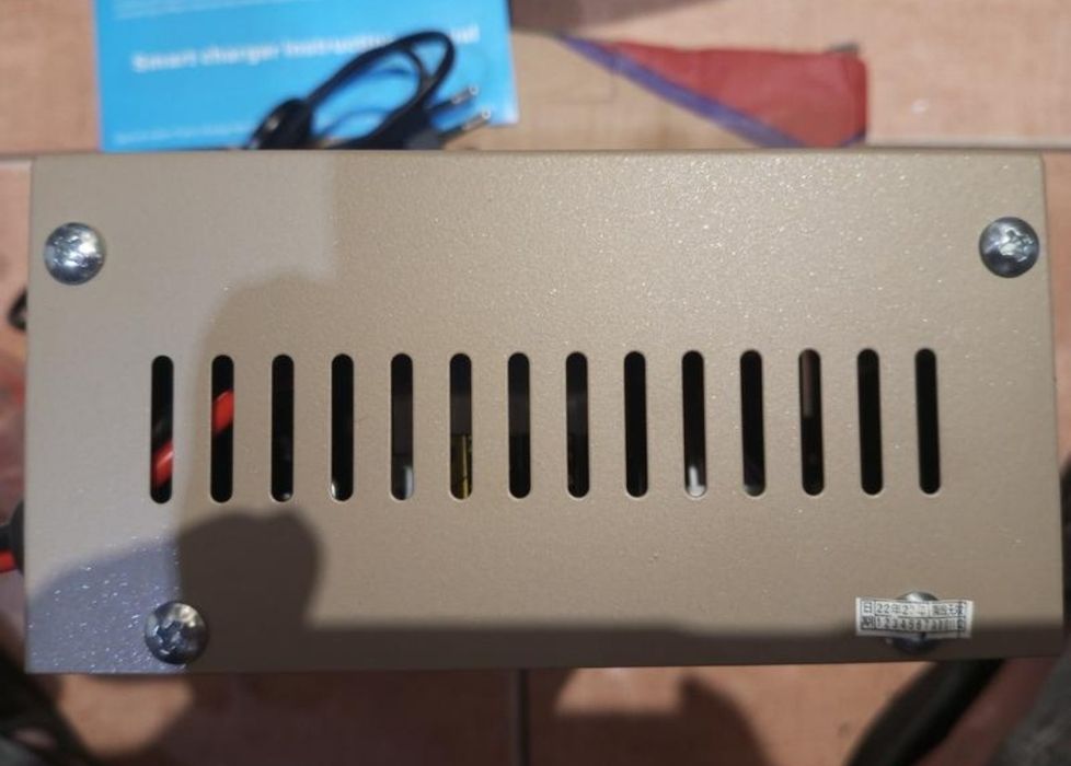 Зарядний імпульсний пристрій 20А.