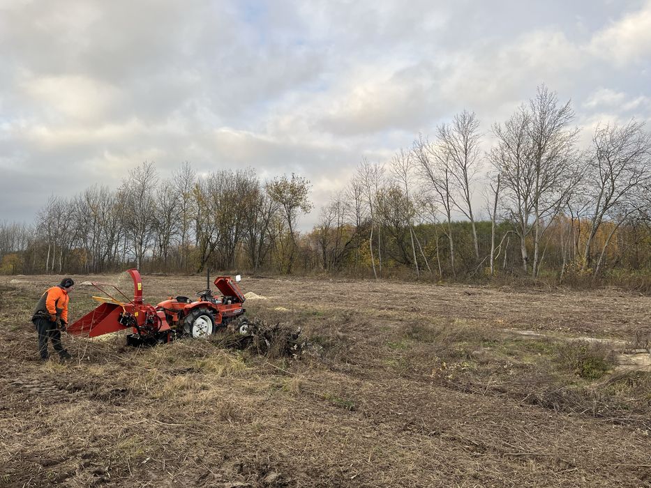 Mulczowanie usuwanie zakrzaczen samosiejek wycinka drzew czyszczenie