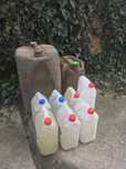 Kanistry, bańki 60l, 20l, 5l