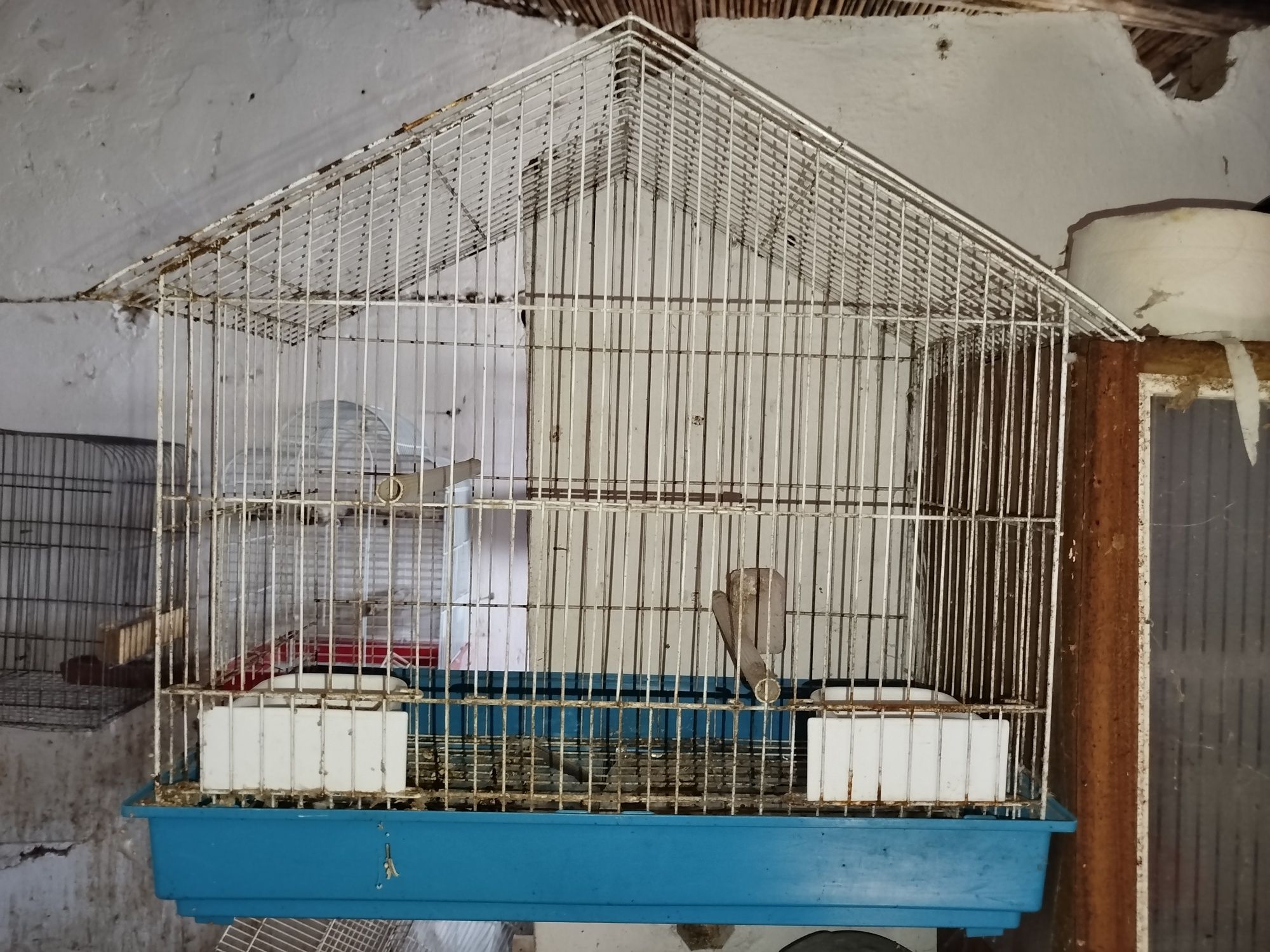 Gaiolas sob orçamento