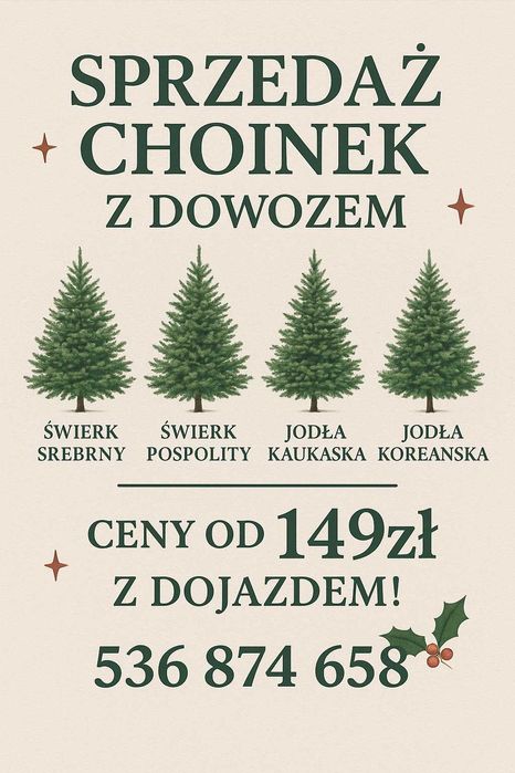 Choinka Najlepsze w Polsce CHOINKI 4 gatunki   Dostawa pod dom!
