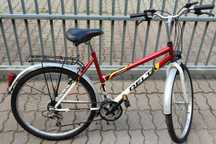 Rower miejski Delta Classic firmy Arkus.