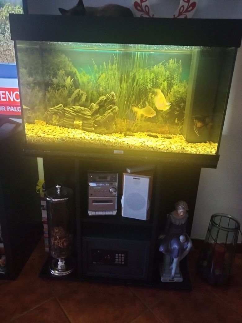 Aquário Juwel completo
