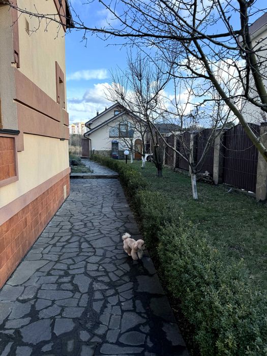 Пропонується в оренду будинок з виходом на воду