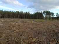 3.54 ha Działka leśna po wycince
