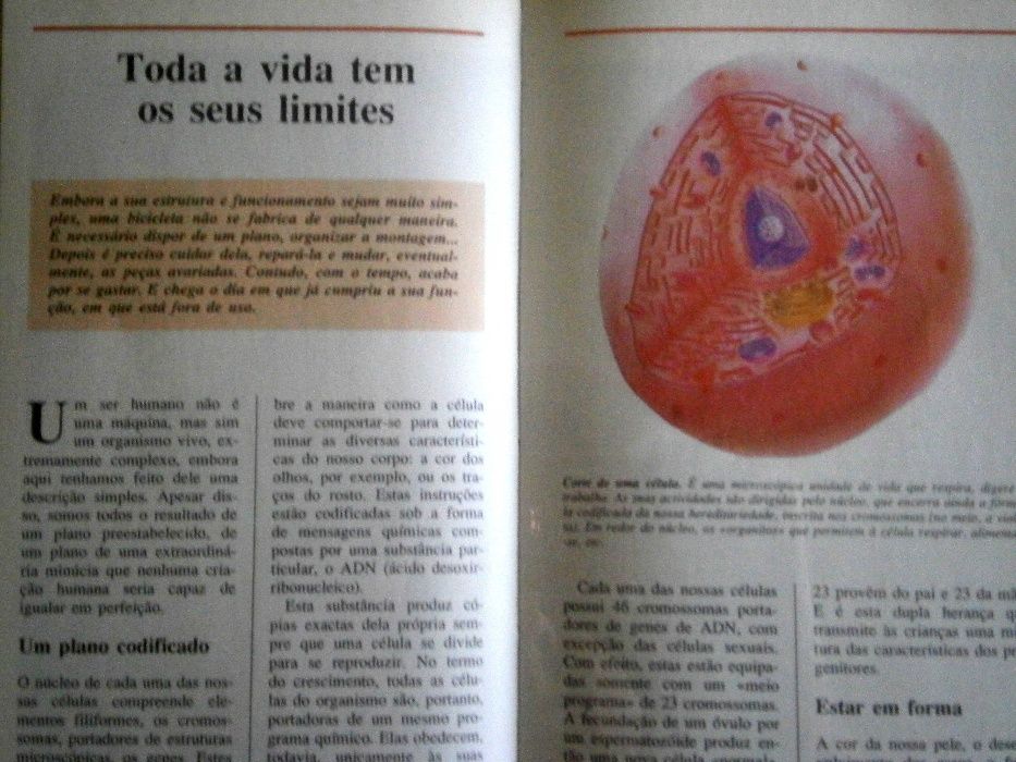 o corpo humano daniel albert-kouraguine