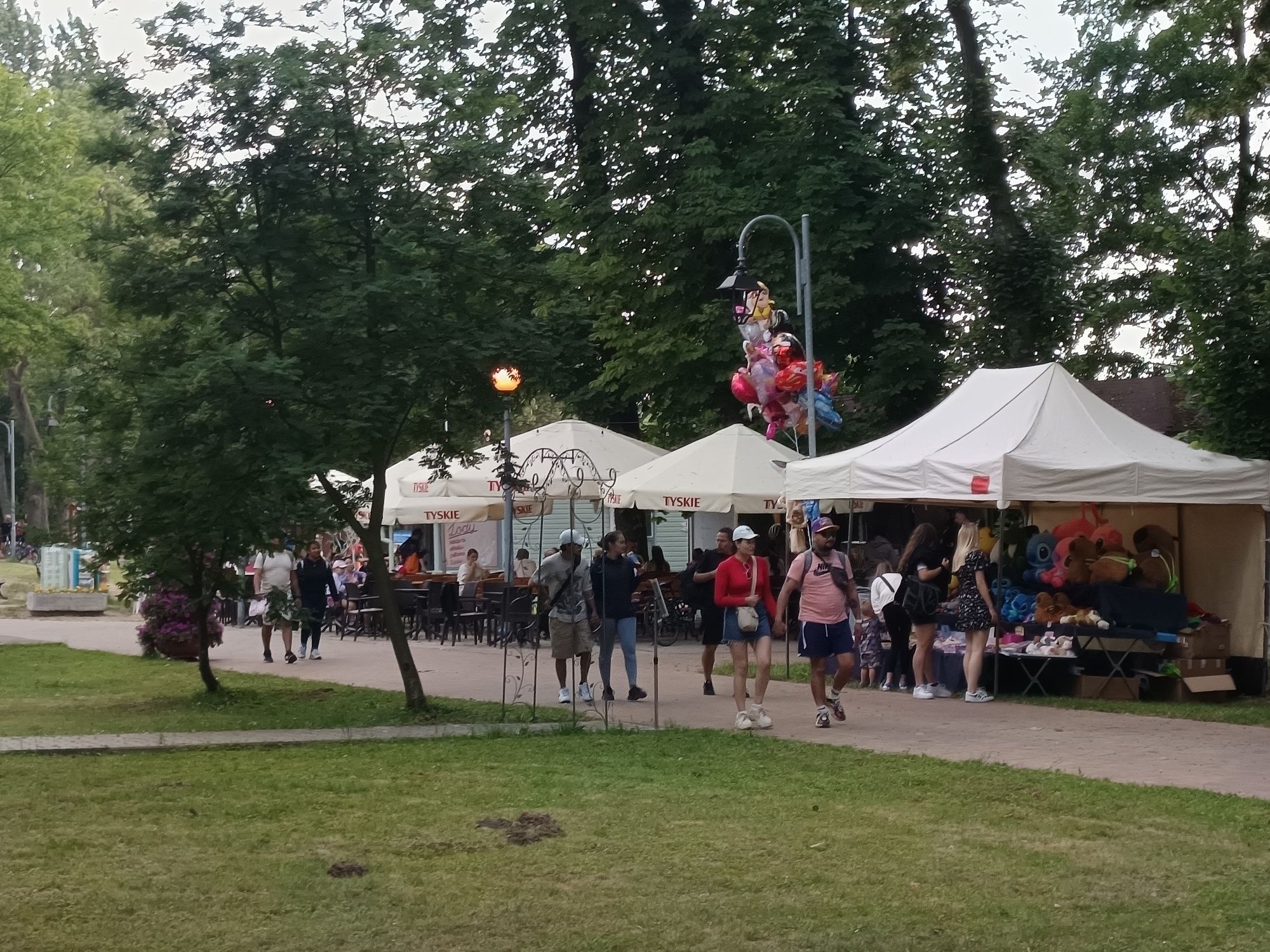 Wynajem domek letniskowy nad jeziorem Osieczna