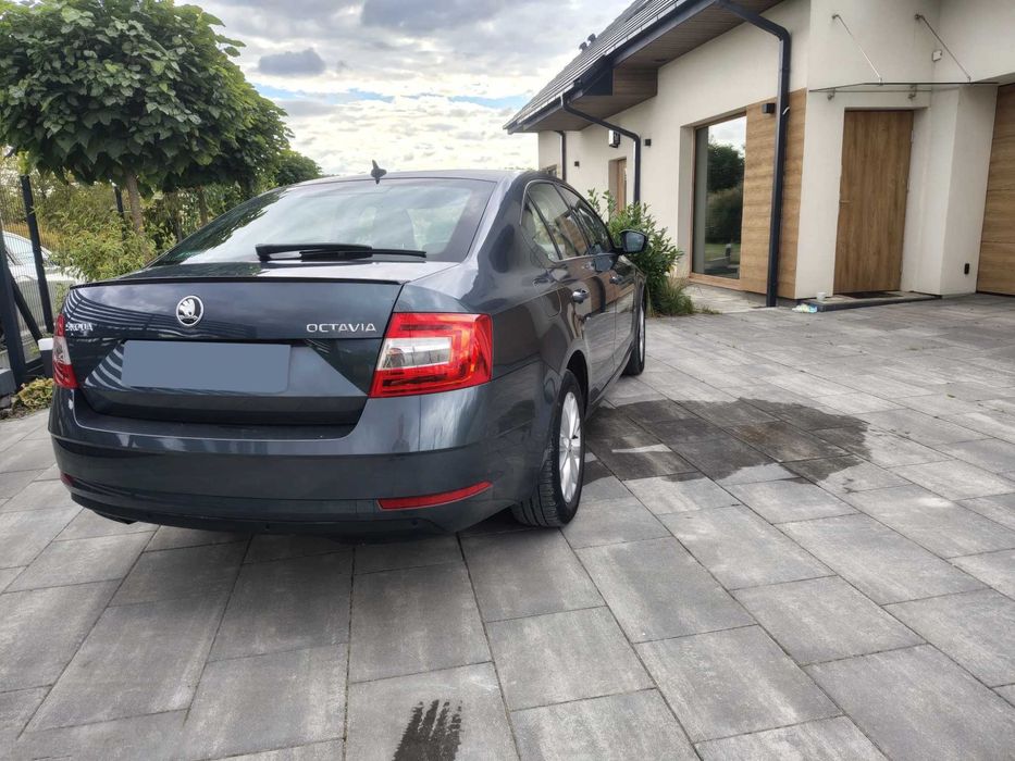 Skoda Octavia      2019