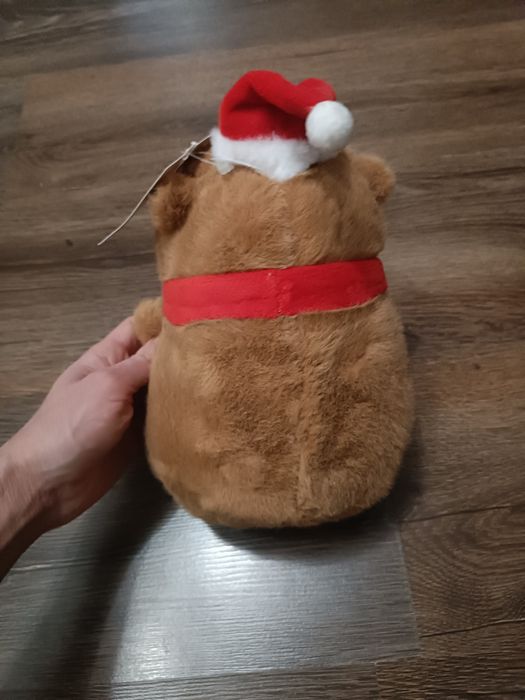 Капібара новорічна,нова.