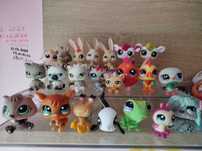 Littlest pet shop