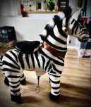 Konik-Zebra  mechaniczna
