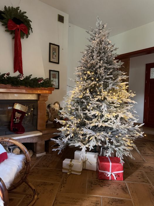 Świerk Lapland 100% PE choinka sztuczna ośnieżona jak żywa