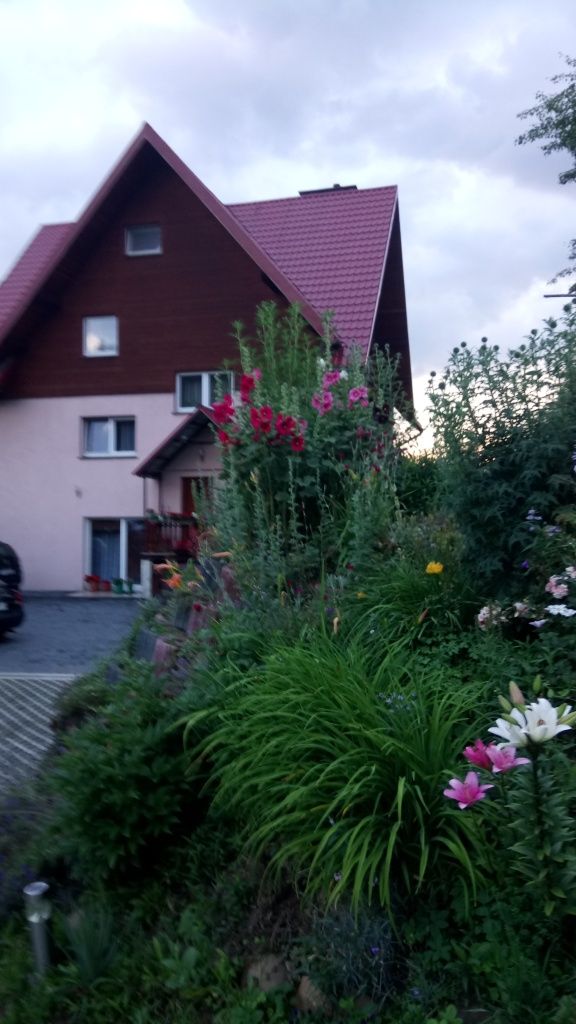 Noclegi w Krościenku  nD