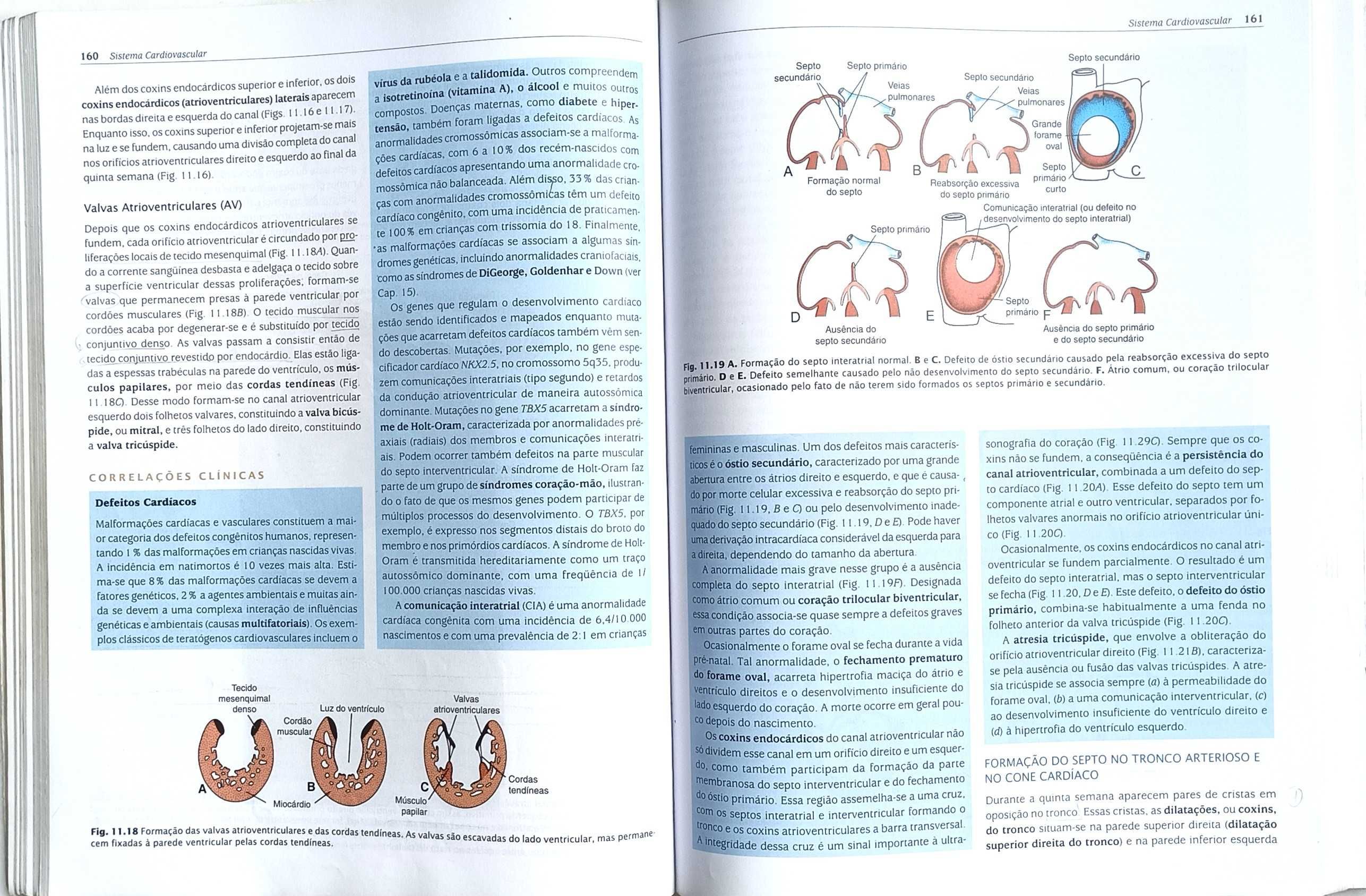 Embriologia Médica - Longamn - Nona Edição