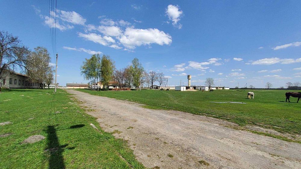 Продам кінну ферму