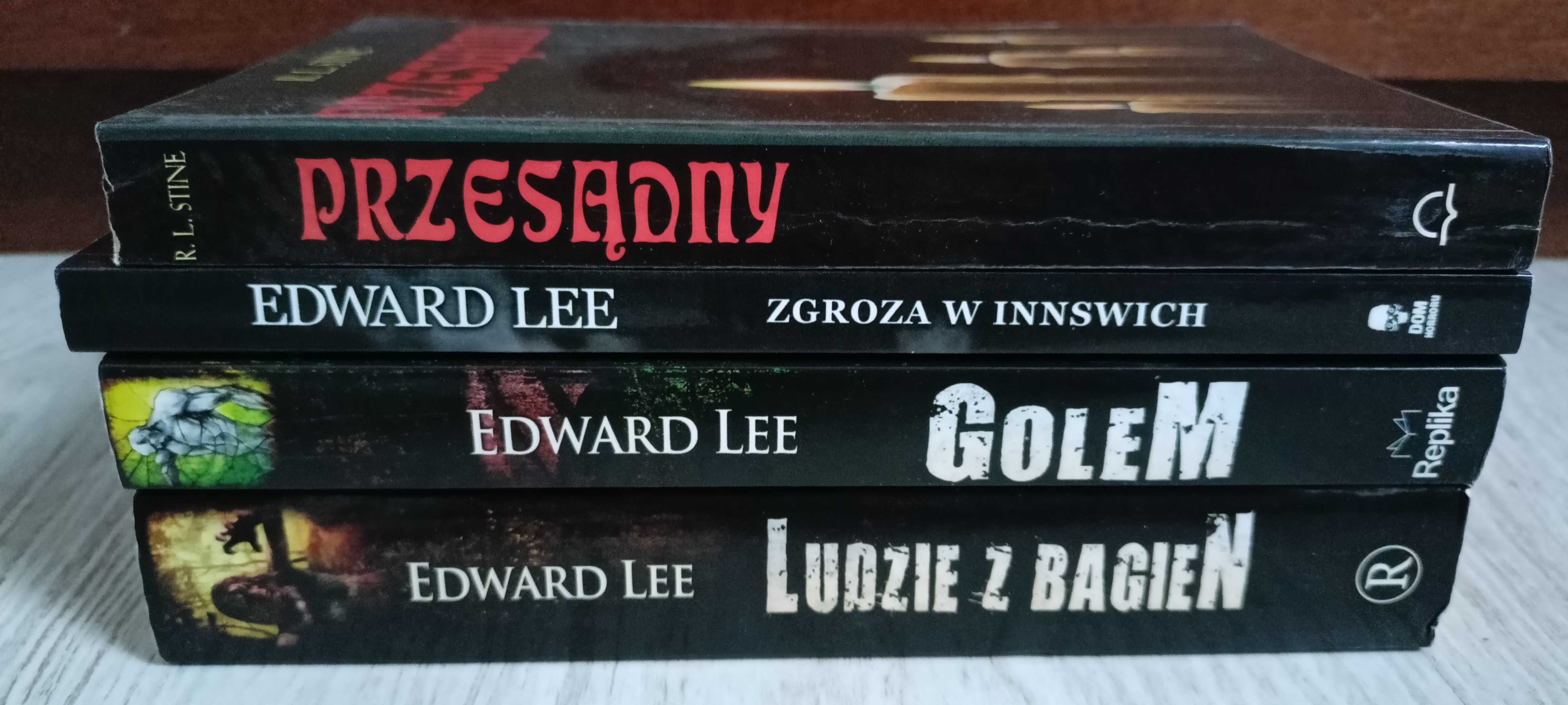 Edward Lee GOLEM Ludzie z bagien Zgroza w Innswich RL Stine Przesądny