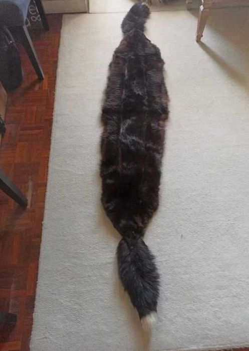 Estola de pele verdadeira