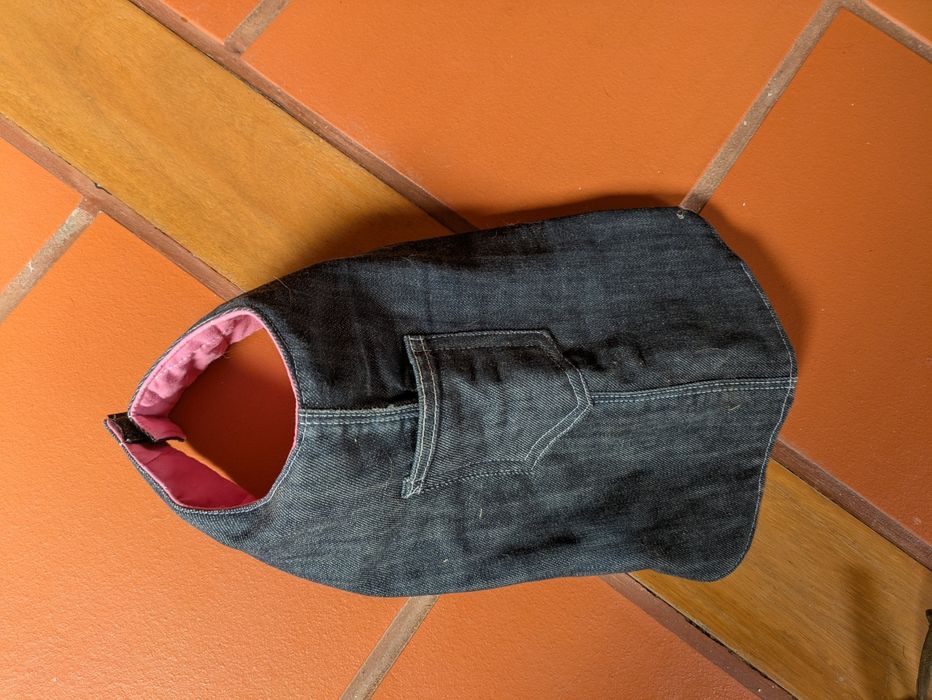 Trelas e casaquinho para cão